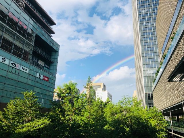 台北｜🌈🌤️美麗雙彩虹🌈📍 101大樓2樓連通天橋