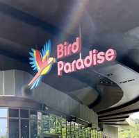 近距離接觸翱翔天際的飛鳥 | 新加坡飛禽公園