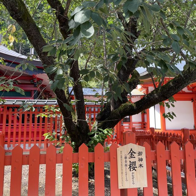 金櫻神社