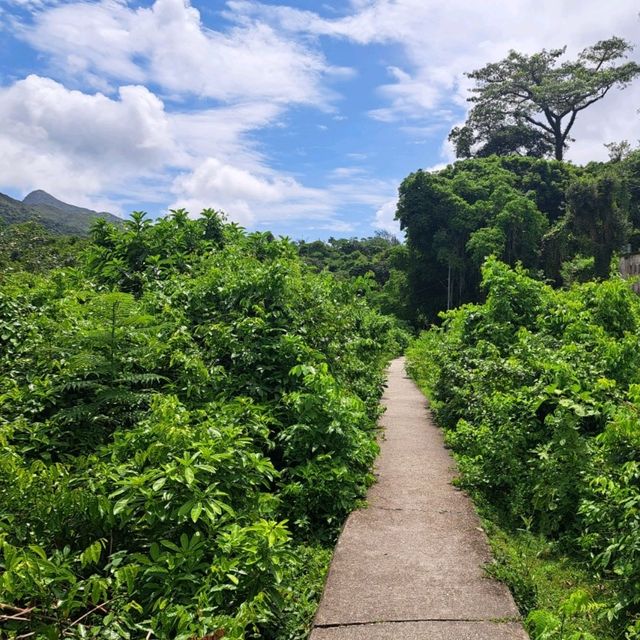 北潭凹-赤徑行山郊遊分享📸睇盡沿途山景海景🏞️