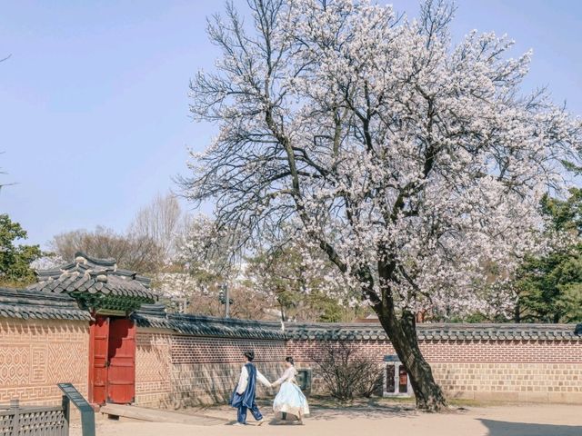 조선의 궁, 경복궁