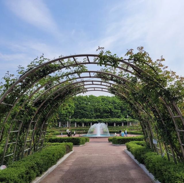 🌹 인천에 꽃이 가득! 인천대공원 수목원에서 피크닉