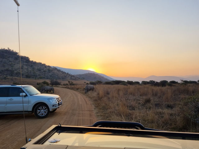 The Safari Drive At Pilanesberg National Park