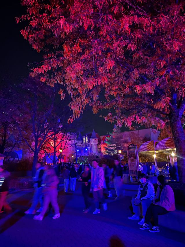 🇨🇦스릴 있는 놀이기구가 많은 토론토 “Wonderland”🎡
