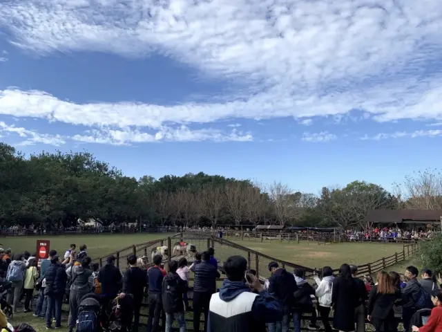 🌾 桃園埔心牧場，親近自然樂趣無窮 🐾