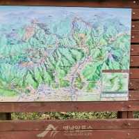 가을의 시작 억새보러가자