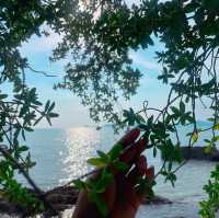 หาดเทียนทะเล สัตหีบ