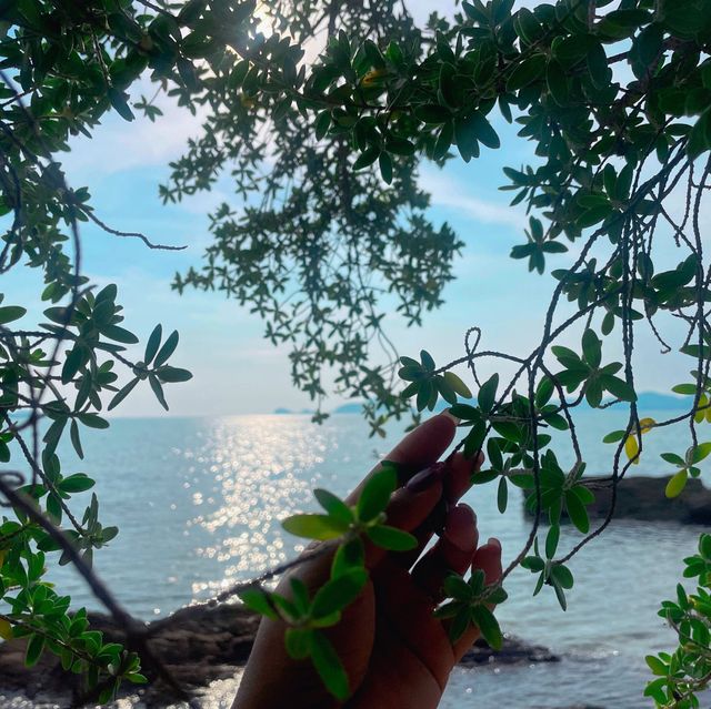 หาดเทียนทะเล สัตหีบ