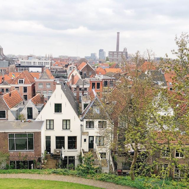 荷蘭🇳🇱萊頓🔰⚜️🔱 Burcht van Leiden 上層景觀篇