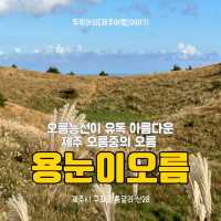 👍🏻 제주도 오름중의 오름, 가을에는 용눈이오름!