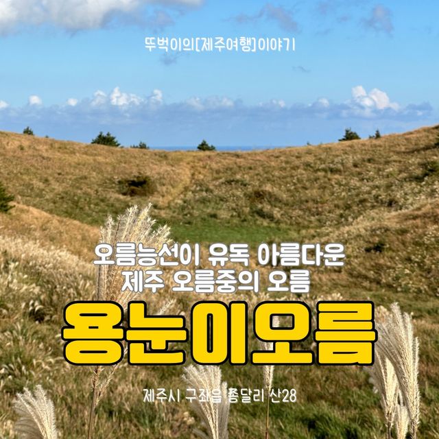 👍🏻 제주도 오름중의 오름, 가을에는 용눈이오름!