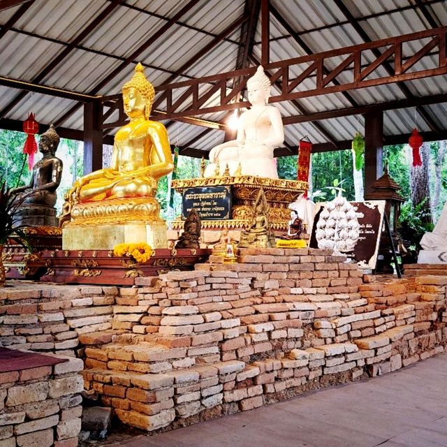 วัดกู่ดินขาว  สวนสัตว์เชียงใหม่