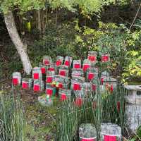 Sacred Tranquility: Juoji Temple Chronicles