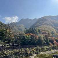 The Place with Eternal Autumn Foilage!