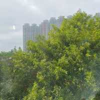 在森林中 , 元氣滿滿的吃火鍋！招牌海底撈！