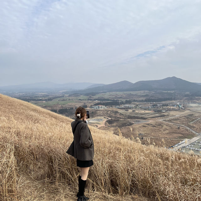 12월 제주 여행