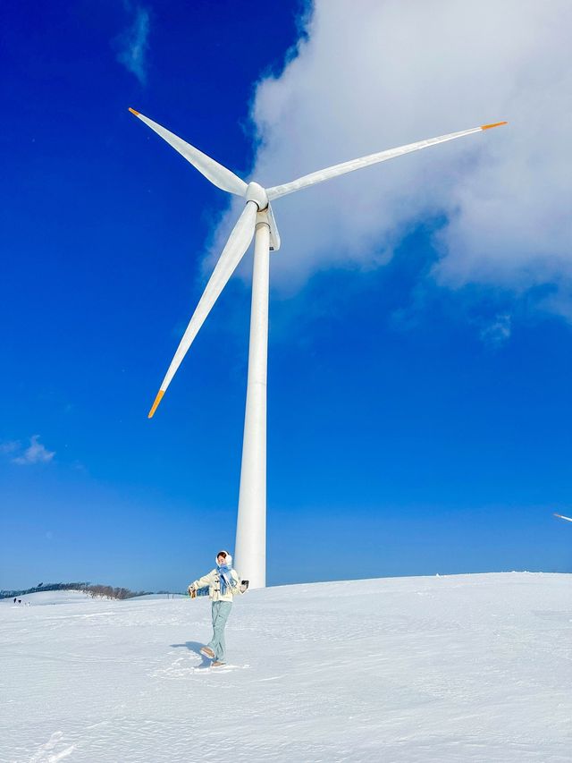 ❄️국내 눈오는날 바로 달려가야할 삼양라운드힐