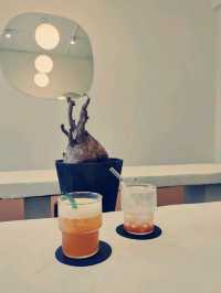 Spring Spring Cafe