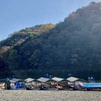 สวนป่าไผ่อาราชิยาม่า Arashiyama, Kyoto