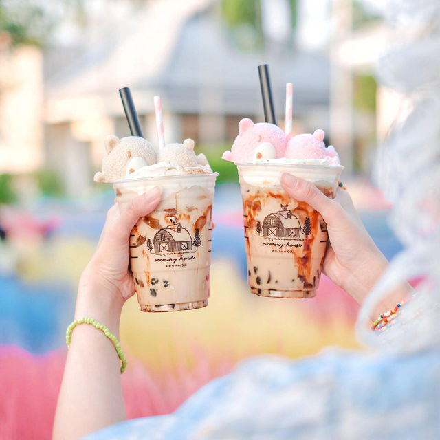 Memory House Cafe ทุ่งหญ้าหลากสี