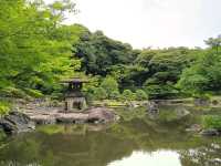 舊古河庭園 | 日本東京賞花勝地及最美庭園之一