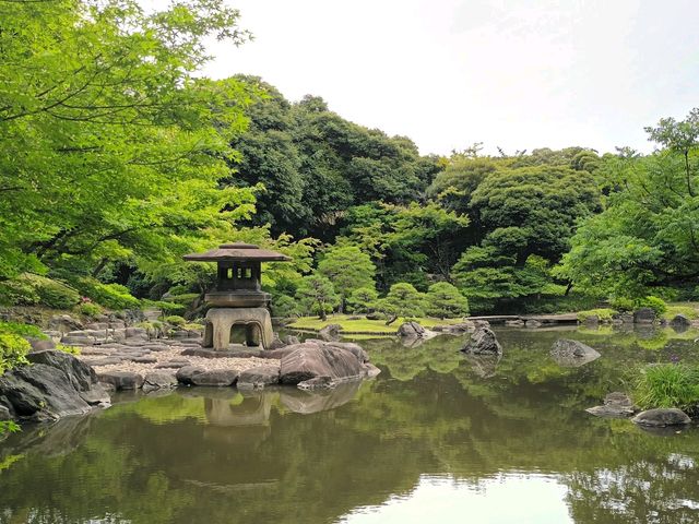 舊古河庭園 | 日本東京賞花勝地及最美庭園之一
