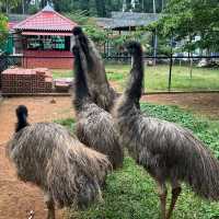 Best Park for Kids in Yercaud hill station 