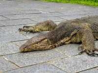 Sungei Buloh Wetland Reserve