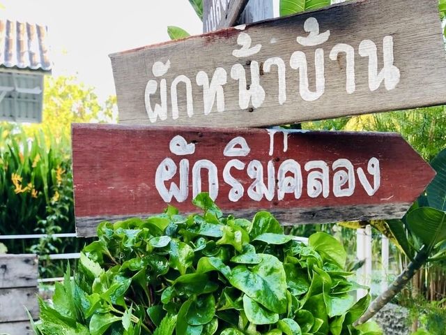 ร้านชาบูอร่อยนั่งชิลๆฟีลบ้านสวน
