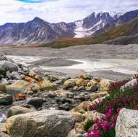 We suggest the following tours for you