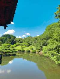 【東京】新宿×のんびり癒しスポット🌳🍃🌱