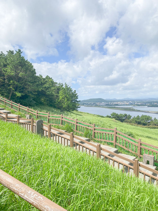 제주 바다와 우도까지 한눈에 보이는 필수코스✨
