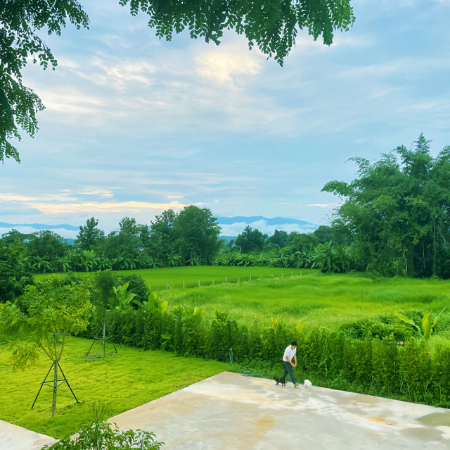 Little Fresh Gallery in Chiang Mai 🎨 Pansuk Art Center