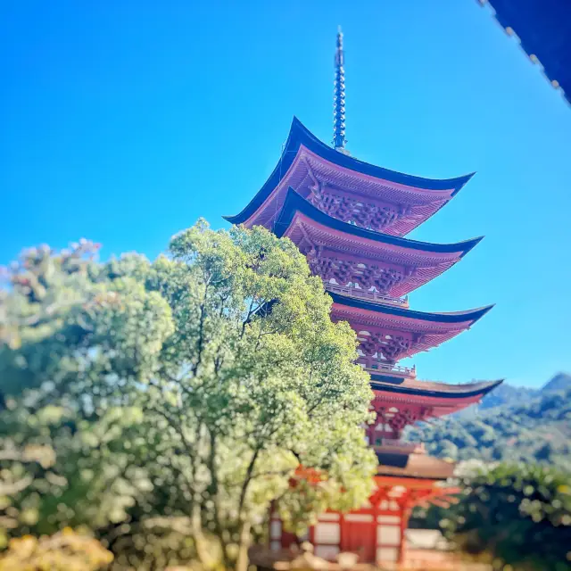 宮島不僅僅有厳島神社。