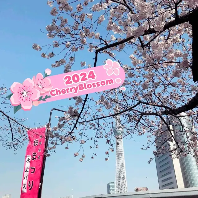 ❣️🌸Tokyo Sky Tree Sumida River