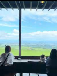 入場無料‼️【📍北海道】東京ドーム385個分の日本一広い牧場に、2,000頭の牛が自由に遊ぶ絶景🐄🐄🐄