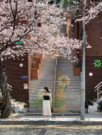 부산 벚꽃 명소 닥밭골벽화 마을 