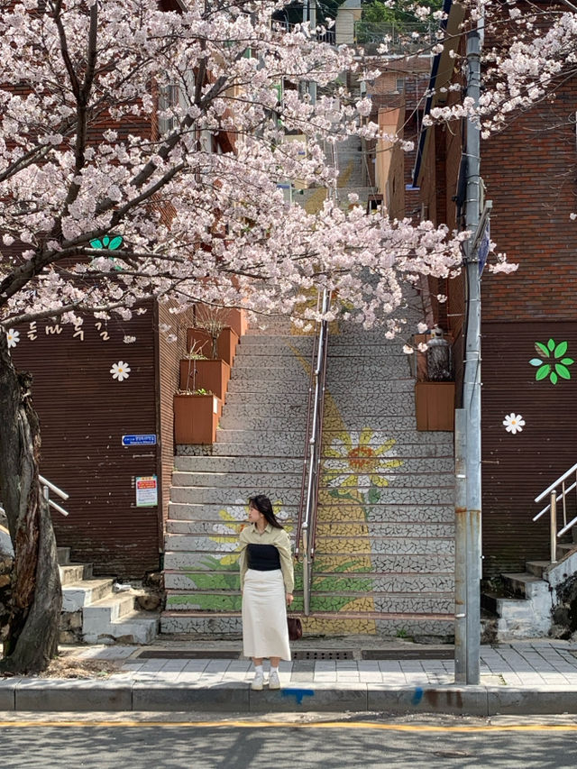 부산 벚꽃 명소 닥밭골벽화 마을 