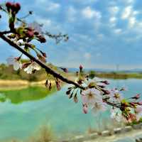 豊橋公園