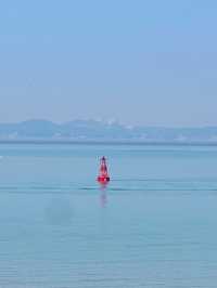아름다운 봄 바다를 보며 바람을 쐬고 싶을때 🌊 서울근교 섬여행 추천