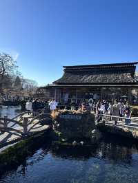 意外と知らない？風情を感じる絶景「忍野八海」とは