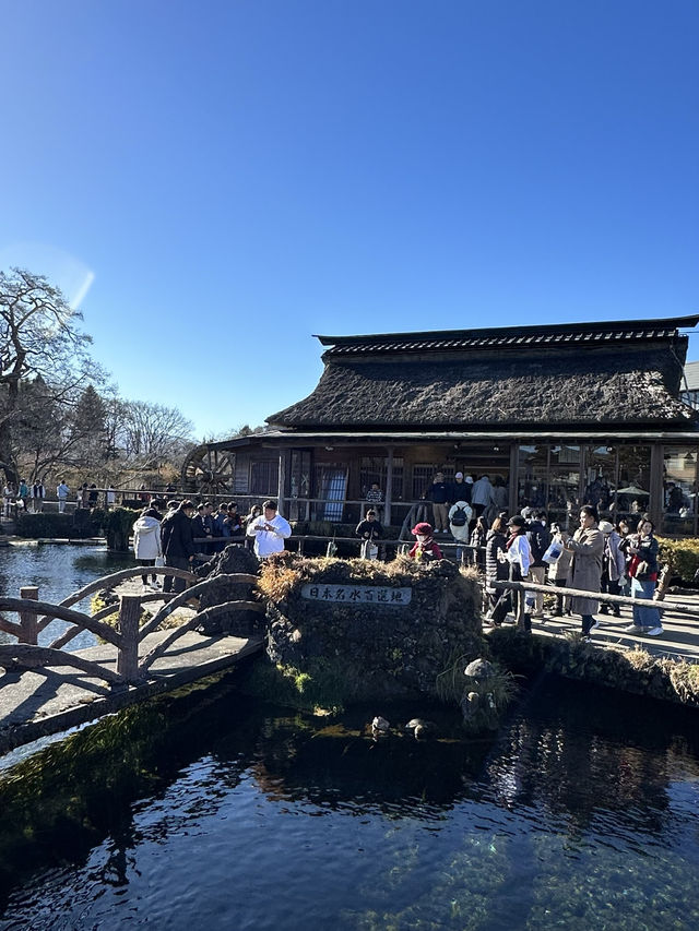 意外と知らない？風情を感じる絶景「忍野八海」とは