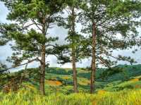 Rong Kla Panorama Scenic View