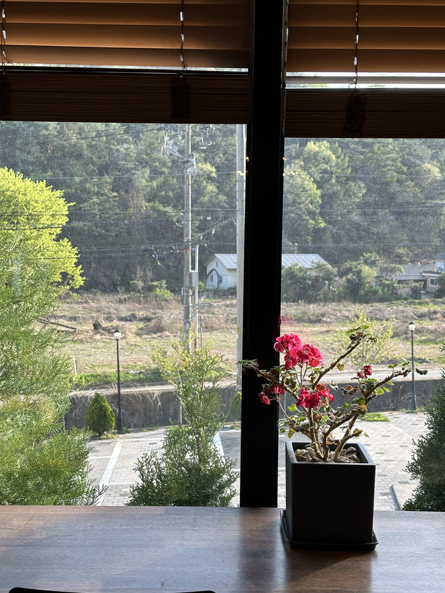 예쁜 잔디밭 정원에 활짝 핀 🌷 봄의 향연을 느껴보실 수 있는 양평 대형 제빵카페 추천