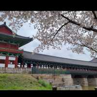 🇰🇷 Gyeongju Gyochon Traditional Village