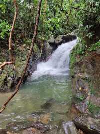 Bukit Lawang Ecotourism