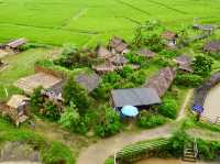 Rice Field View in Nan