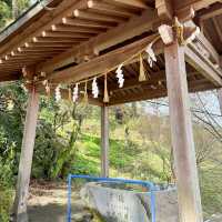 日本九州｜俯瞰浮羽景色的稻荷神社⛩️