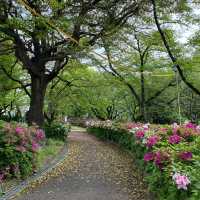 歴史探訪　乙川白山公園