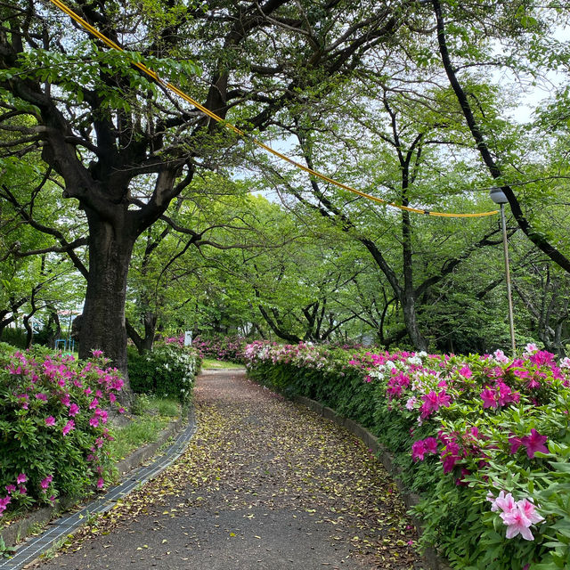 歴史探訪　乙川白山公園